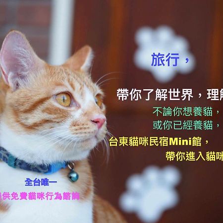 貓咪民宿mini館-中午即可入房 T'ai-tung Exterior foto